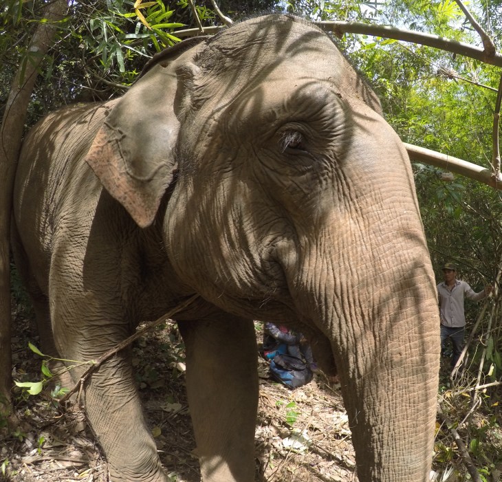 DCIM100GOPROGOPR0991.